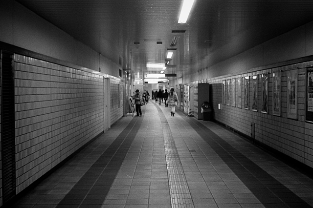 ���U���ʐ^�A���o�� f-2013.12.21Shin-yokohama-M4-Summilux50mmF1.4-400TX-093.jpg 2013.12.21<BR>�V���l<BR>M4 Summilux50mmF1.4<BR>400TX D76 1:1