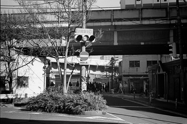 ���U���ʐ^�A���o�� f-2014.01.02Yokhama-F2-Ai50mmF1.8S-400TX-15.jpg 2014.01.02<BR>F2 Ai50mmF1.8S<BR>400TX D76 1:1