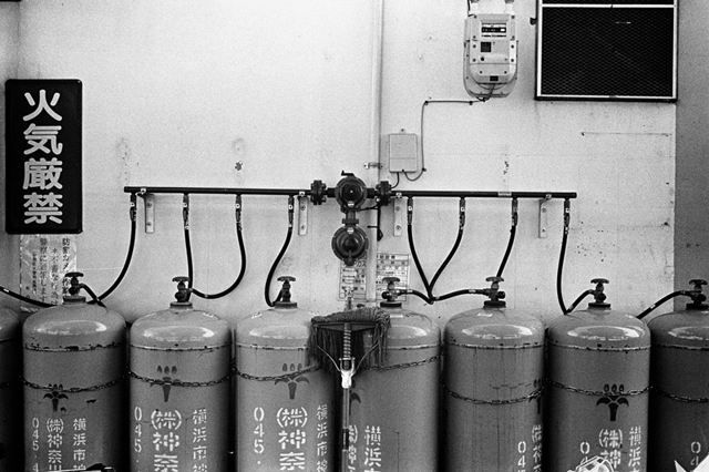 ���U���ʐ^�A���o�� f-2014.01.02Yokhama-F2-Ai50mmF1.8S-400TX-28.jpg 2014.01.02<BR>F2 Ai50mmF1.8S<BR>400TX D76 1:1