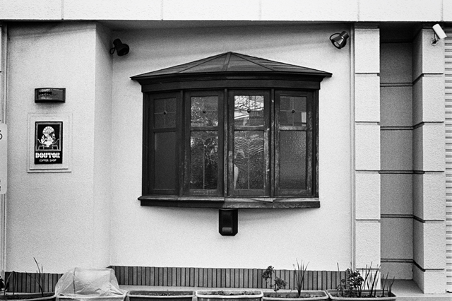 ���U���ʐ^�A���o�� f-2014.01.02Yokhama-F2-Ai50mmF1.8S-400TX-30.jpg 2014.01.02<BR>F2 Ai50mmF1.8S<BR>400TX D76 1:1