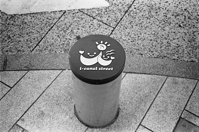 ���U���ʐ^�A���o�� f-2014.01.02Yokhama-F2-Ai50mmF1.8S-400TX-35.jpg 2014.01.02<BR>F2 Ai50mmF1.8S<BR>400TX D76 1:1