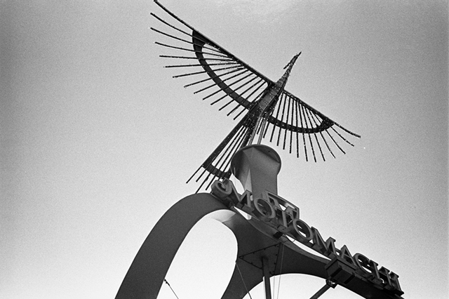 ���U���ʐ^�A���o�� f-2014.01.02Yokhama-F2-Ai50mmF1.8S-400TX-37.jpg 2014.01.02<BR>F2 Ai50mmF1.8S<BR>400TX D76 1:1
