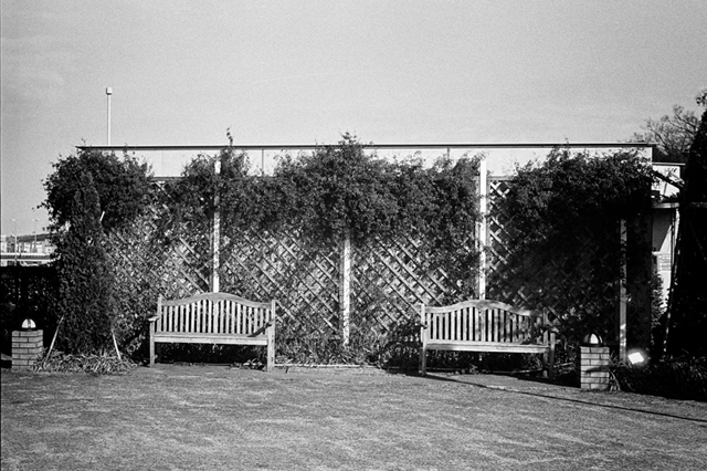 ���U���ʐ^�A���o�� f-2014.01.02Yokhama-F2-Ai50mmF1.8S-400TX-41.jpg 2014.01.02<BR>F2 Ai50mmF1.8S<BR>400TX D76 1:1