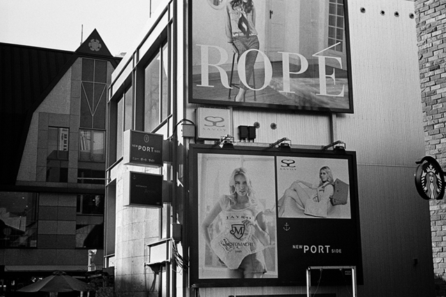 ���U���ʐ^�A���o�� f-2014.01.02Yokhama-F2-Ai50mmF1.8S-400TX-42.jpg 2014.01.02<BR>F2 Ai50mmF1.8S<BR>400TX D76 1:1