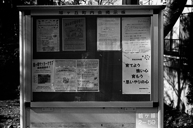 ���U���ʐ^�A���o�� f-2014.01.02Yokhama-F2-Ai50mmF1.8S-400TX-44.jpg 2014.01.02<BR>F2 Ai50mmF1.8S<BR>400TX D76 1:1