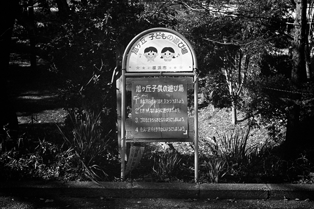 ���U���ʐ^�A���o�� f-2014.01.02Yokhama-F2-Ai50mmF1.8S-400TX-45.jpg 2014.01.02<BR>F2 Ai50mmF1.8S<BR>400TX D76 1:1