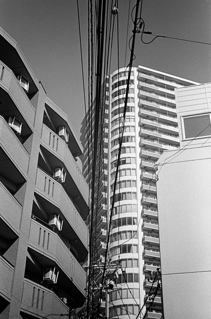 ���U���ʐ^�A���o�� f-2014.01.02Yokhama-F2-Ai50mmF1.8S-400TX-48.jpg 2014.01.02<BR>F2 Ai50mmF1.8S<BR>400TX D76 1:1
