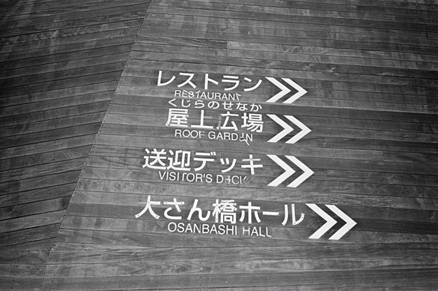 ���U���ʐ^�A���o�� f-2014.01.11Yokohama-M4-Summilux50mmF1.4-400TX-D76-012.jpg 2014.01.11<BR>���l<BR>M4 Summilux50mmF1.4<BR>400TX D76 1:1