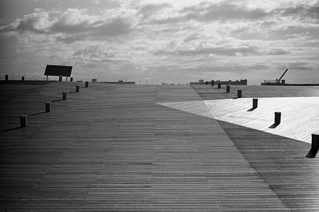 ���U���ʐ^�A���o�� f-2014.01.11Yokohama-M4-Summilux50mmF1.4-400TX-D76-026.jpg 2014.01.11<BR>���l<BR>M4 Summilux50mmF1.4<BR>400TX D76 1:1
