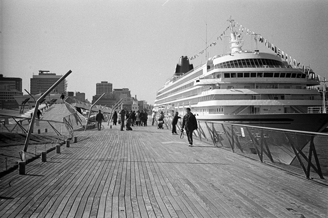���U���ʐ^�A���o�� f-2014.01.11Yokohama-M4-Summilux50mmF1.4-400TX-D76-027.jpg 2014.01.11<BR>���l<BR>M4 Summilux50mmF1.4<BR>400TX D76 1:1