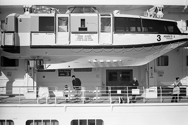 ���U���ʐ^�A���o�� f-2014.01.11Yokohama-M4-Summilux50mmF1.4-400TX-D76-028.jpg 2014.01.11<BR>���l<BR>M4 Summilux50mmF1.4<BR>400TX D76 1:1