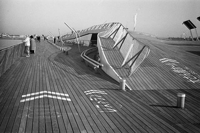 ���U���ʐ^�A���o�� f-2014.01.11Yokohama-M4-Summilux50mmF1.4-400TX-D76-029.jpg 2014.01.11<BR>���l<BR>M4 Summilux50mmF1.4<BR>400TX D76 1:1