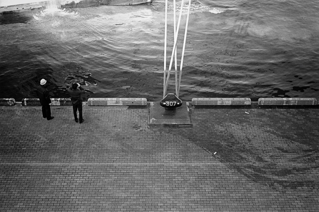 ���U���ʐ^�A���o�� f-2014.01.11Yokohama-M4-Summilux50mmF1.4-400TX-D76-030.jpg 2014.01.11<BR>���l<BR>M4 Summilux50mmF1.4<BR>400TX D76 1:1