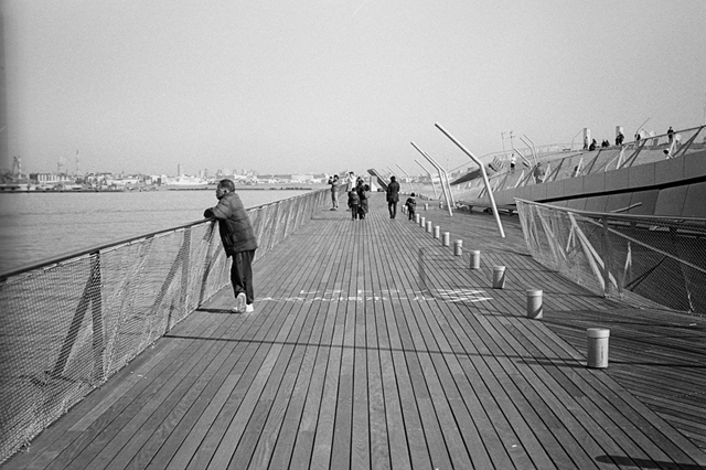 ���U���ʐ^�A���o�� f-2014.01.11Yokohama-M4-Summilux50mmF1.4-400TX-D76-031.jpg 2014.01.11<BR>���l<BR>M4 Summilux50mmF1.4<BR>400TX D76 1:1