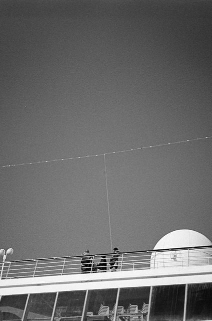���U���ʐ^�A���o�� f-2014.01.11Yokohama-M4-Summilux50mmF1.4-400TX-D76-032.jpg 2014.01.11<BR>���l<BR>M4 Summilux50mmF1.4<BR>400TX D76 1:1