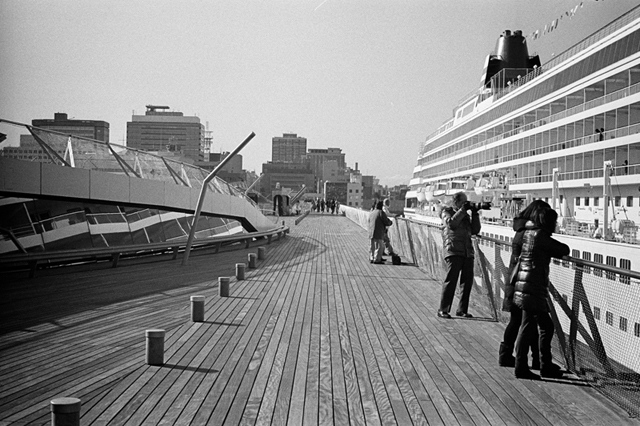 ���U���ʐ^�A���o�� f-2014.01.11Yokohama-M4-Summilux50mmF1.4-400TX-D76-033.jpg 2014.01.11<BR>���l<BR>M4 Summilux50mmF1.4<BR>400TX D76 1:1