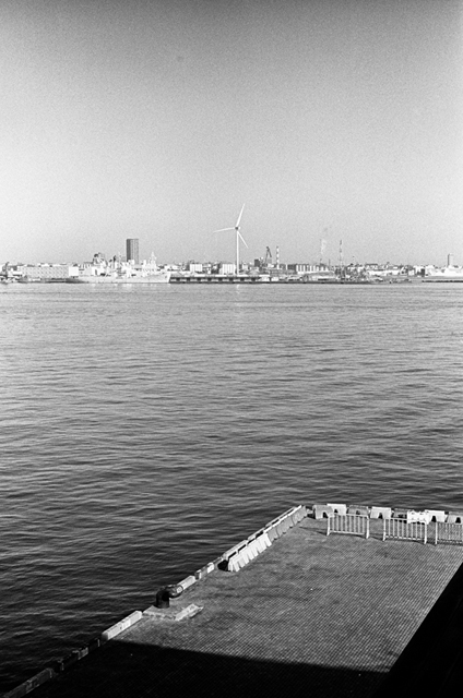 ���U���ʐ^�A���o�� f-2014.01.11Yokohama-M4-Summilux50mmF1.4-400TX-D76-034.jpg 2014.01.11<BR>���l<BR>M4 Summilux50mmF1.4<BR>400TX D76 1:1