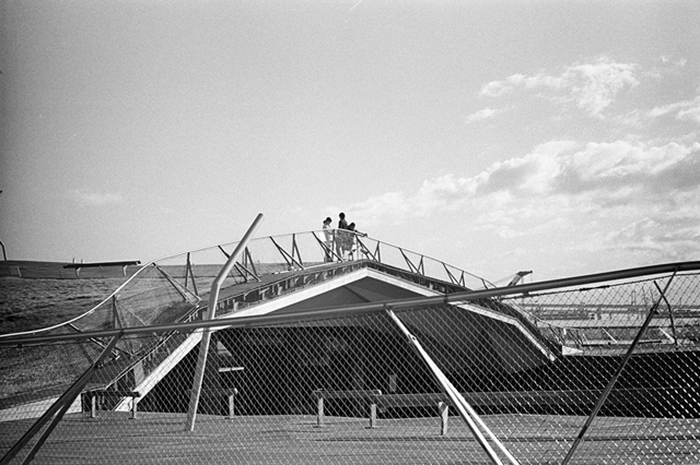 ���U���ʐ^�A���o�� f-2014.01.11Yokohama-M4-Summilux50mmF1.4-400TX-D76-035.jpg 2014.01.11<BR>���l<BR>M4 Summilux50mmF1.4<BR>400TX D76 1:1