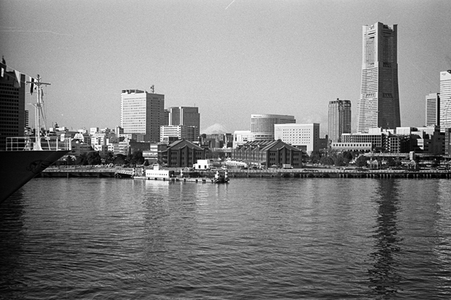 ���U���ʐ^�A���o�� f-2014.01.11Yokohama-M4-Summilux50mmF1.4-400TX-D76-036.jpg 2014.01.11<BR>���l<BR>M4 Summilux50mmF1.4<BR>400TX D76 1:1