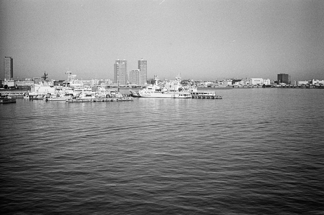 ���U���ʐ^�A���o�� f-2014.01.11Yokohama-M4-Summilux50mmF1.4-400TX-D76-037.jpg 2014.01.11<BR>���l<BR>M4 Summilux50mmF1.4<BR>400TX D76 1:1