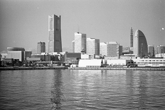 ���U���ʐ^�A���o�� f-2014.01.11Yokohama-M4-Summilux50mmF1.4-400TX-D76-039.jpg 2014.01.11<BR>���l<BR>M4 Summilux50mmF1.4<BR>400TX D76 1:1