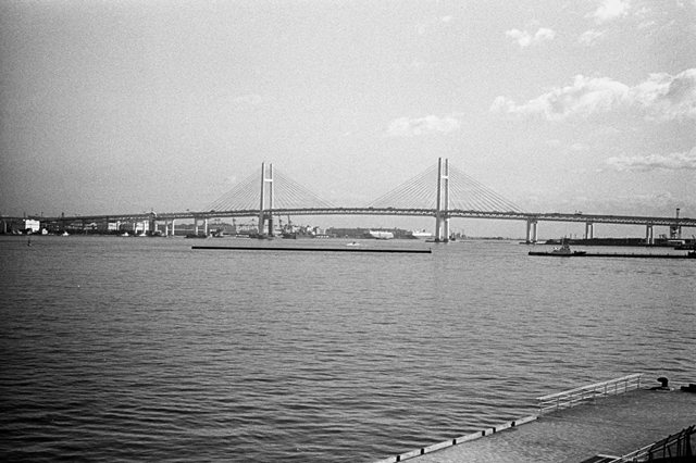 ���U���ʐ^�A���o�� f-2014.01.11Yokohama-M4-Summilux50mmF1.4-400TX-D76-040.jpg 2014.01.11<BR>���l<BR>M4 Summilux50mmF1.4<BR>400TX D76 1:1