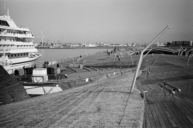 ���U���ʐ^�A���o�� f-2014.01.11Yokohama-M4-Summilux50mmF1.4-400TX-D76-041.jpg 2014.01.11<BR>���l<BR>M4 Summilux50mmF1.4<BR>400TX D76 1:1