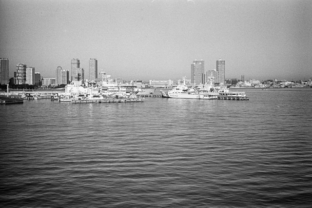 ���U���ʐ^�A���o�� f-2014.01.11Yokohama-M4-Summilux50mmF1.4-400TX-D76-042.jpg 2014.01.11<BR>���l<BR>M4 Summilux50mmF1.4<BR>400TX D76 1:1