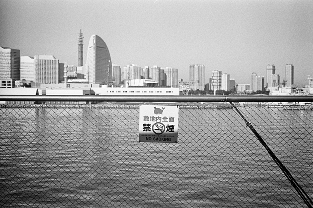 ���U���ʐ^�A���o�� f-2014.01.11Yokohama-M4-Summilux50mmF1.4-400TX-D76-043.jpg 2014.01.11<BR>���l<BR>M4 Summilux50mmF1.4<BR>400TX D76 1:1