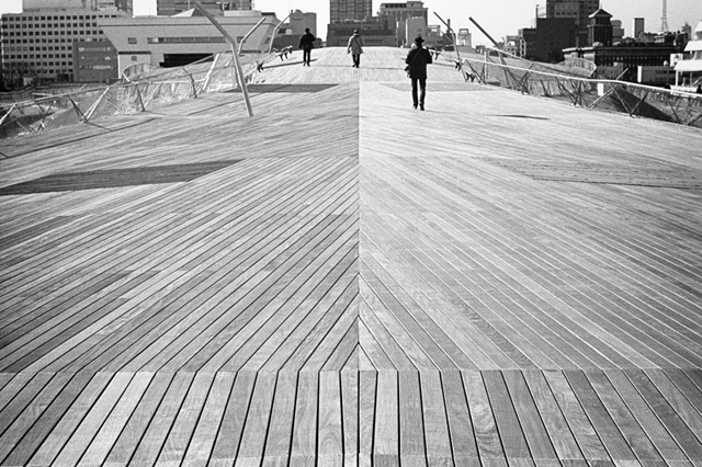 ���U���ʐ^�A���o�� f-2014.01.11Yokohama-M4-Summilux50mmF1.4-400TX-D76-045.jpg 2014.01.11<BR>���l<BR>M4 Summilux50mmF1.4<BR>400TX D76 1:1