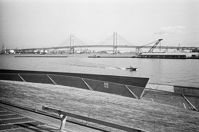 ���U���ʐ^�A���o�� f-2014.01.11Yokohama-M4-Summilux50mmF1.4-400TX-D76-046.jpg 2014.01.11<BR>���l<BR>M4 Summilux50mmF1.4<BR>400TX D76 1:1