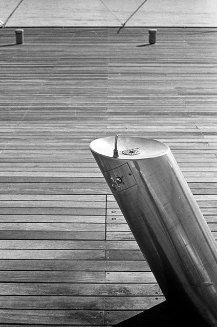 ���U���ʐ^�A���o�� f-2014.01.11Yokohama-M4-Summilux50mmF1.4-400TX-D76-047.jpg 2014.01.11<BR>���l<BR>M4 Summilux50mmF1.4<BR>400TX D76 1:1