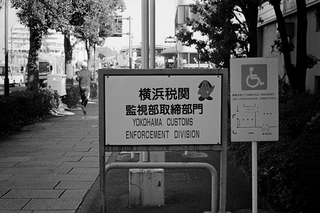 ���U���ʐ^�A���o�� f-2014.01.11Yokohama-M4-Summilux50mmF1.4-400TX-D76-050.jpg 2014.01.11<BR>���l<BR>M4 Summilux50mmF1.4<BR>400TX D76 1:1