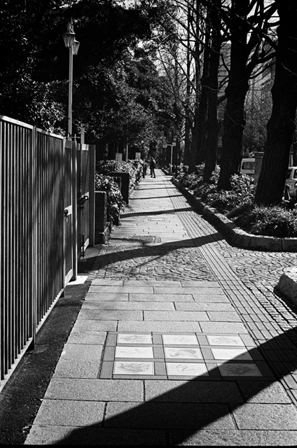 ���U���ʐ^�A���o�� f-2014.01.11Yokohama-M4-Summilux50mmF1.4-400TX-D76-052.jpg 2014.01.11<BR>���l<BR>M4 Summilux50mmF1.4<BR>400TX D76 1:1
