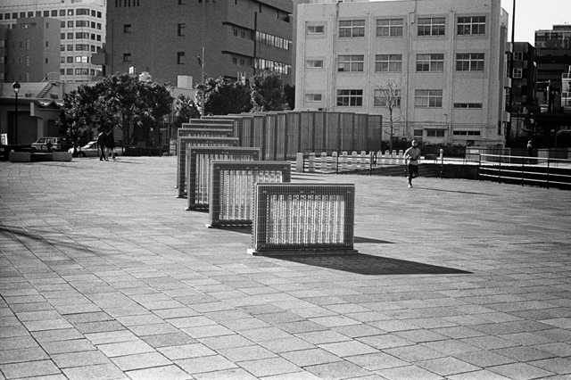 ���U���ʐ^�A���o�� f-2014.01.11Yokohama-M4-Summilux50mmF1.4-400TX-D76-053.jpg 2014.01.11<BR>���l<BR>M4 Summilux50mmF1.4<BR>400TX D76 1:1