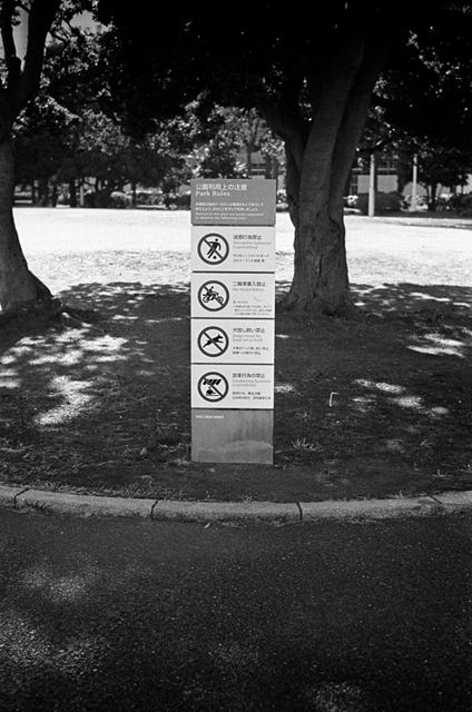 ���U���ʐ^�A���o�� f-2014.01.11Yokohama-M4-Summilux50mmF1.4-400TX-D76-054.jpg 2014.01.11<BR>���l<BR>M4 Summilux50mmF1.4<BR>400TX D76 1:1