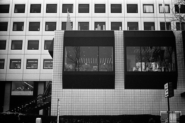 ���U���ʐ^�A���o�� f-2014.01.11Yokohama-M4-Summilux50mmF1.4-400TX-D76-055.jpg 2014.01.11<BR>���l<BR>M4 Summilux50mmF1.4<BR>400TX D76 1:1