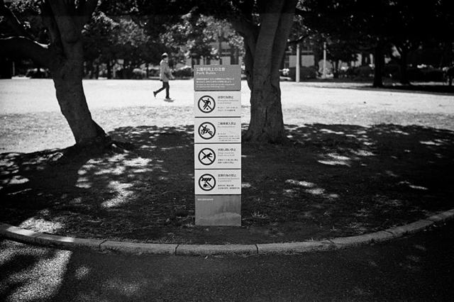 ���U���ʐ^�A���o�� f-2014.01.11Yokohama-M4-Summilux50mmF1.4-400TX-D76-056.jpg 2014.01.11<BR>���l<BR>M4 Summilux50mmF1.4<BR>400TX D76 1:1