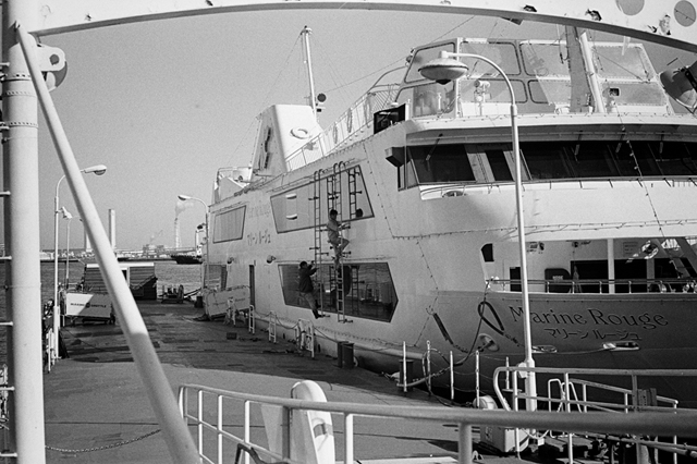 ���U���ʐ^�A���o�� f-2014.01.11Yokohama-M4-Summilux50mmF1.4-400TX-D76-057.jpg 2014.01.11<BR>���l<BR>M4 Summilux50mmF1.4<BR>400TX D76 1:1
