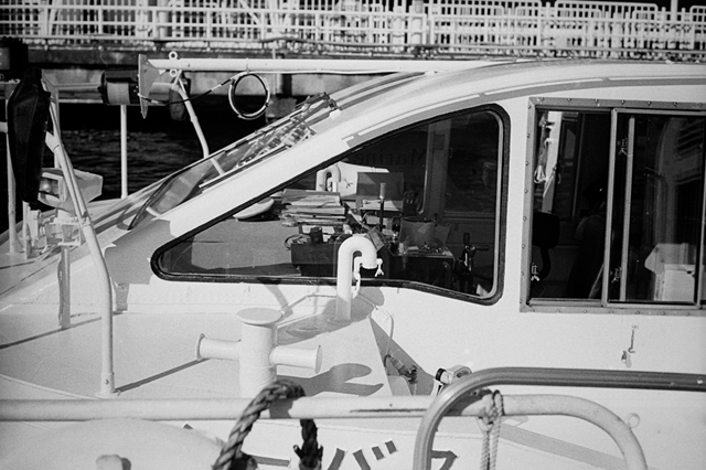 ���U���ʐ^�A���o�� f-2014.01.11Yokohama-M4-Summilux50mmF1.4-400TX-D76-059.jpg 2014.01.11<BR>���l<BR>M4 Summilux50mmF1.4<BR>400TX D76 1:1