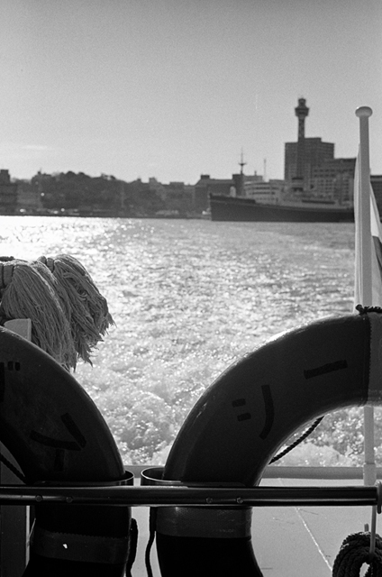 ���U���ʐ^�A���o�� f-2014.01.11Yokohama-M4-Summilux50mmF1.4-400TX-D76-062.jpg 2014.01.11<BR>���l<BR>M4 Summilux50mmF1.4<BR>400TX D76 1:1