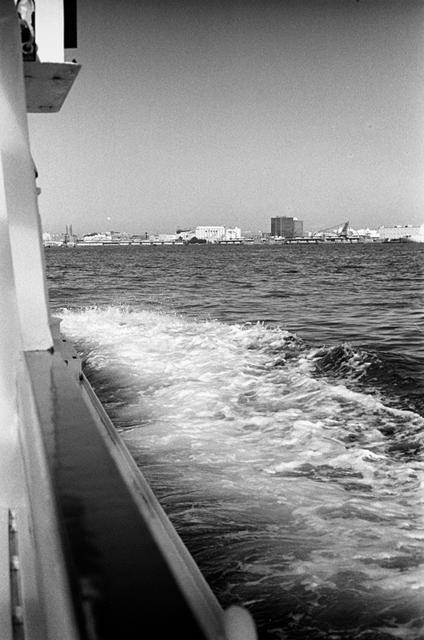 ���U���ʐ^�A���o�� f-2014.01.11Yokohama-M4-Summilux50mmF1.4-400TX-D76-064.jpg 2014.01.11<BR>���l<BR>M4 Summilux50mmF1.4<BR>400TX D76 1:1