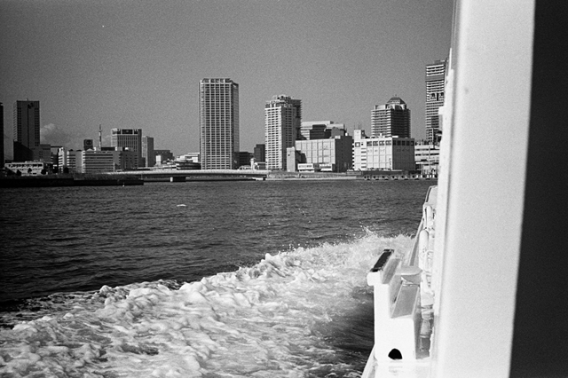 ���U���ʐ^�A���o�� f-2014.01.11Yokohama-M4-Summilux50mmF1.4-400TX-D76-067.jpg 2014.01.11<BR>���l<BR>M4 Summilux50mmF1.4<BR>400TX D76 1:1