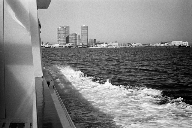 ���U���ʐ^�A���o�� f-2014.01.11Yokohama-M4-Summilux50mmF1.4-400TX-D76-069.jpg 2014.01.11<BR>���l<BR>M4 Summilux50mmF1.4<BR>400TX D76 1:1