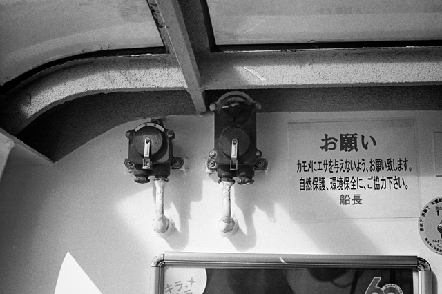 ���U���ʐ^�A���o�� f-2014.01.11Yokohama-M4-Summilux50mmF1.4-400TX-D76-070.jpg 2014.01.11<BR>���l<BR>M4 Summilux50mmF1.4<BR>400TX D76 1:1