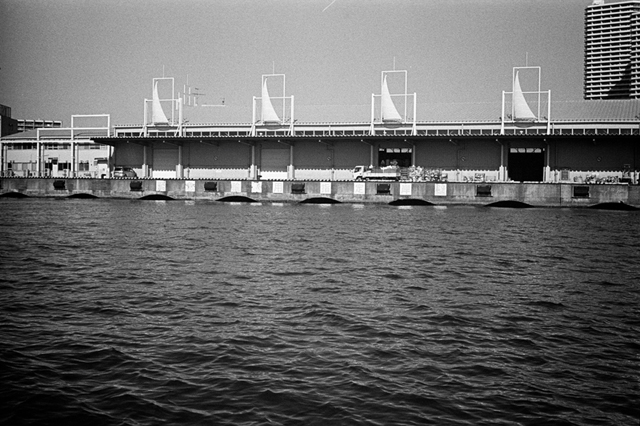 ���U���ʐ^�A���o�� f-2014.01.11Yokohama-M4-Summilux50mmF1.4-400TX-D76-071.jpg 2014.01.11<BR>���l<BR>M4 Summilux50mmF1.4<BR>400TX D76 1:1
