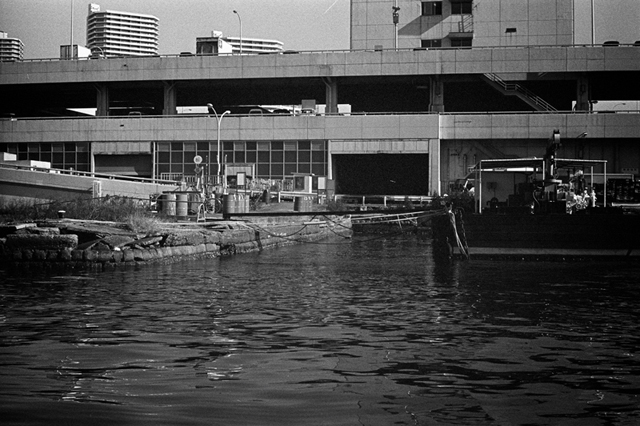 ���U���ʐ^�A���o�� f-2014.01.11Yokohama-M4-Summilux50mmF1.4-400TX-D76-074.jpg 2014.01.11<BR>���l<BR>M4 Summilux50mmF1.4<BR>400TX D76 1:1