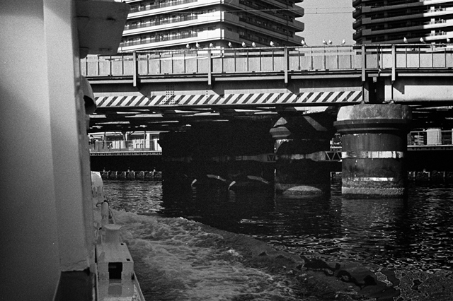���U���ʐ^�A���o�� f-2014.01.11Yokohama-M4-Summilux50mmF1.4-400TX-D76-076.jpg 2014.01.11<BR>���l<BR>M4 Summilux50mmF1.4<BR>400TX D76 1:1