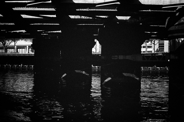 ���U���ʐ^�A���o�� f-2014.01.11Yokohama-M4-Summilux50mmF1.4-400TX-D76-077.jpg 2014.01.11<BR>���l<BR>M4 Summilux50mmF1.4<BR>400TX D76 1:1