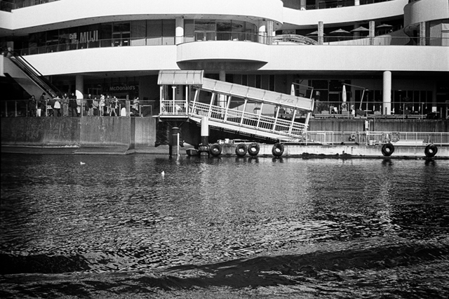 ���U���ʐ^�A���o�� f-2014.01.11Yokohama-M4-Summilux50mmF1.4-400TX-D76-078.jpg 2014.01.11<BR>���l<BR>M4 Summilux50mmF1.4<BR>400TX D76 1:1